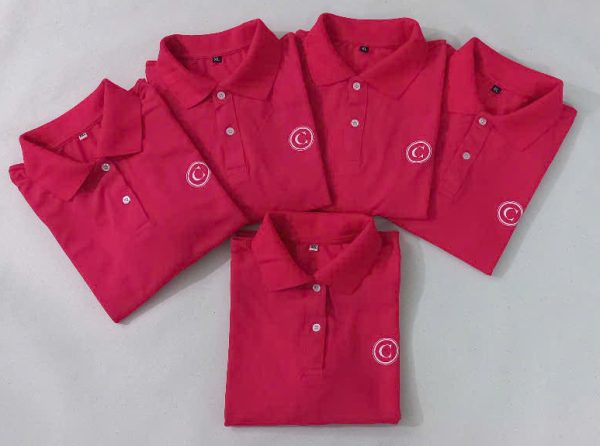 Áo polo màu sen đậm đồng phục lớp 12C – May Thành Đạt sản xuất